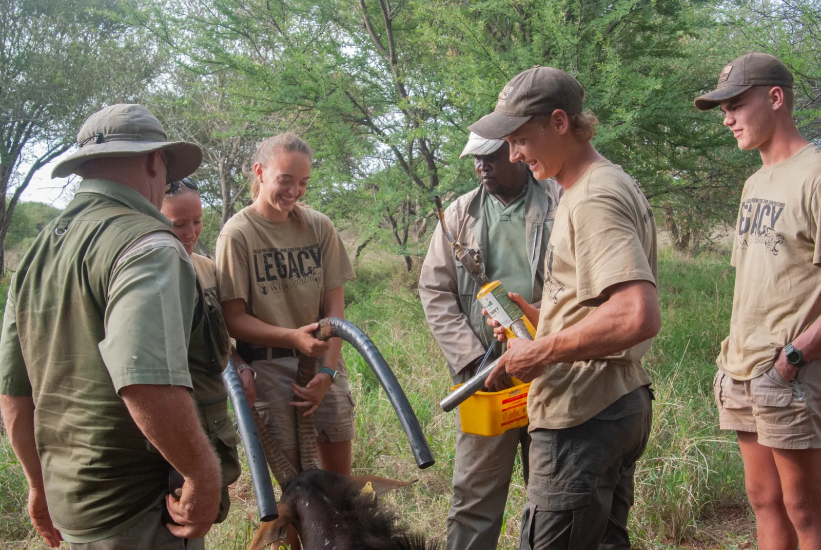 Veterinary Introduction — field experience at Legacy Training