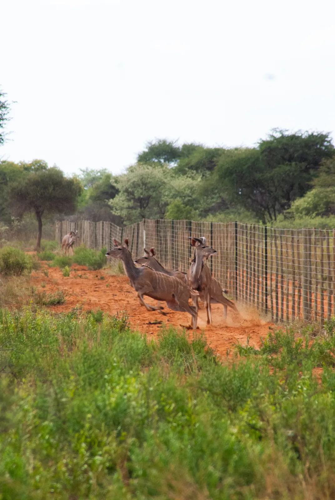 Veldskool — field experience at Legacy Training