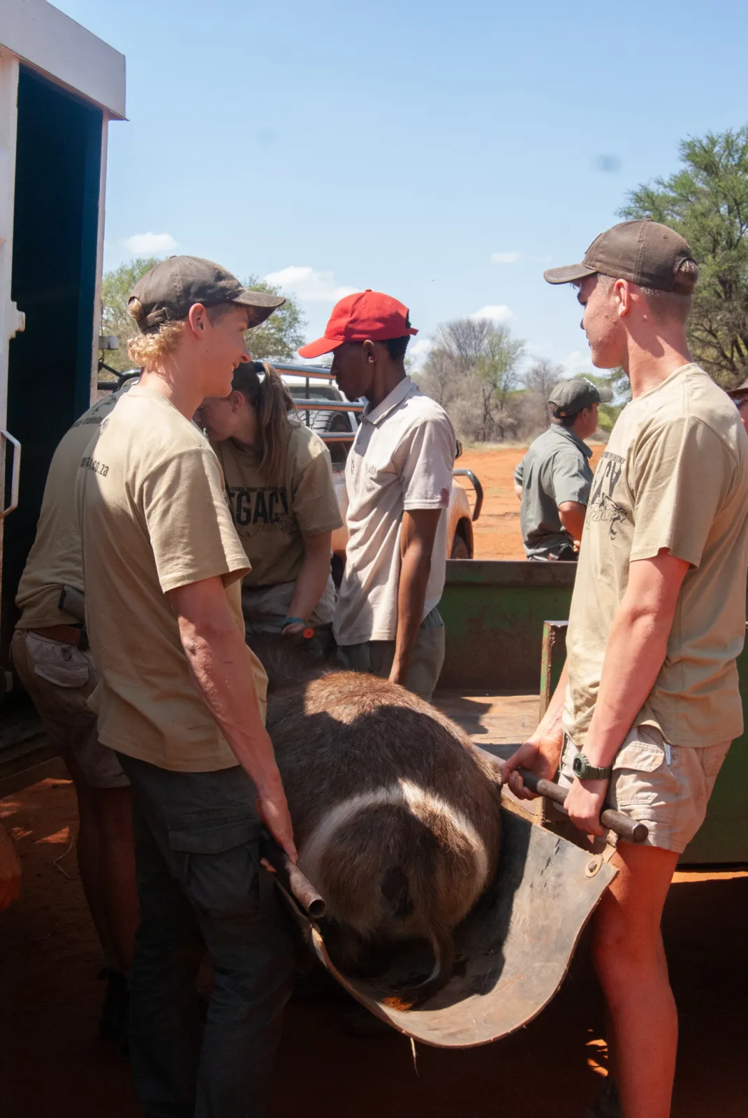 Veterinary Introduction — field experience at Legacy Training