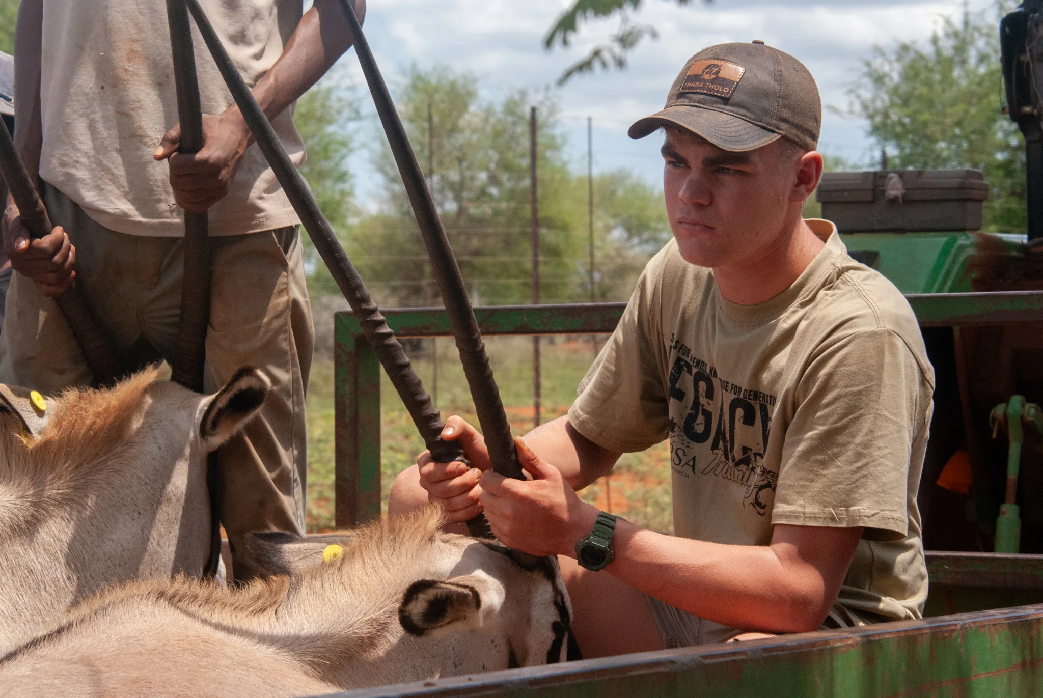 Veterinary Introduction — field experience at Legacy Training