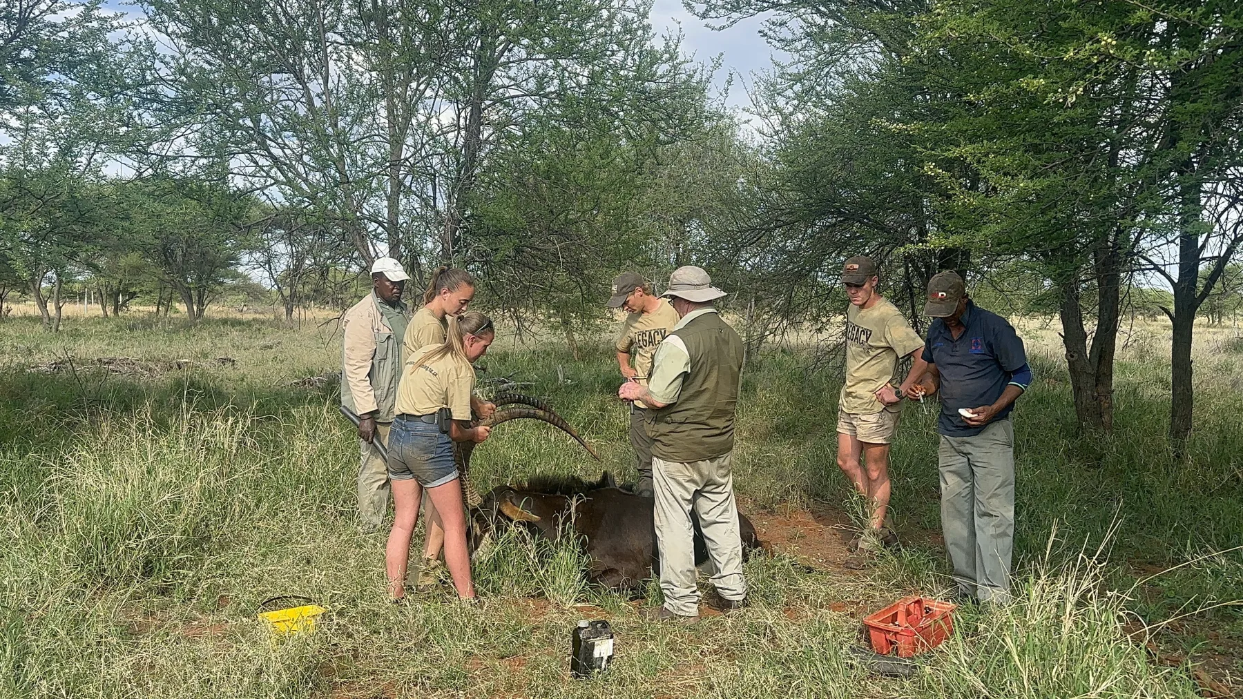 Veterinary Introduction in the field